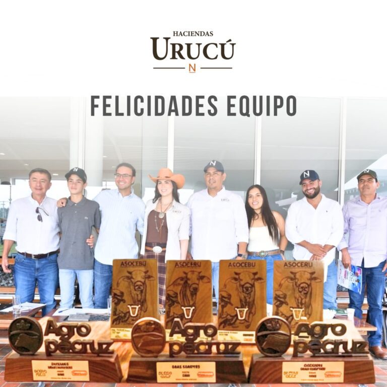 WhatsApp Image 2026-04-13 at 12.02